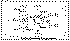 Wp-fp6.gif (8645 bytes)